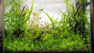 Thumbnail of post image 058