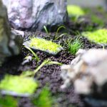 植栽レイアウト編