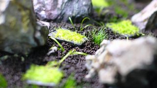 植栽レイアウト編