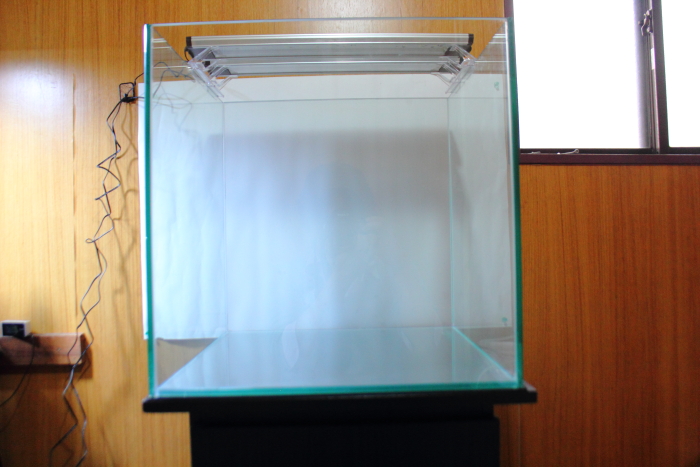 模造紙を貼り水槽内を明るく見せる