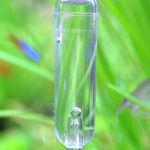 水槽のバランスに合わせたCO2量が大切