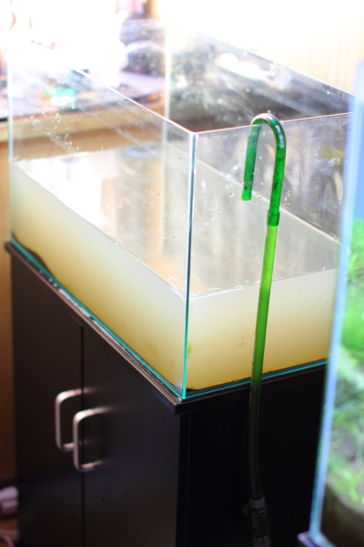 60㎝規格水槽のリセット
