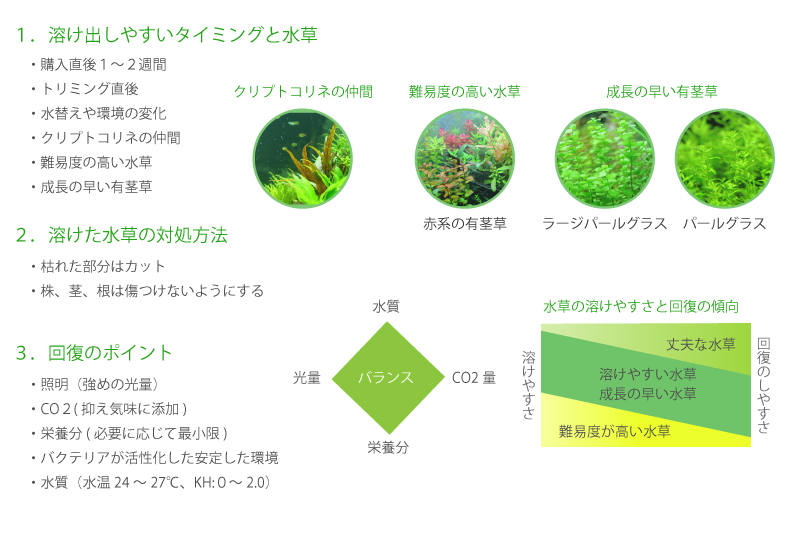 水草が溶けるだ溶け出した水草の改善方法