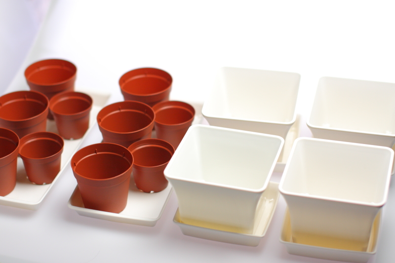 ミスト式で水草ストック計画 水草動画ブログ