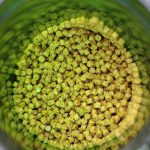 パワーハウス ソフトタイプSセット