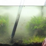底床を念入りに掃除する