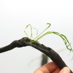 レイアウトに使う素材