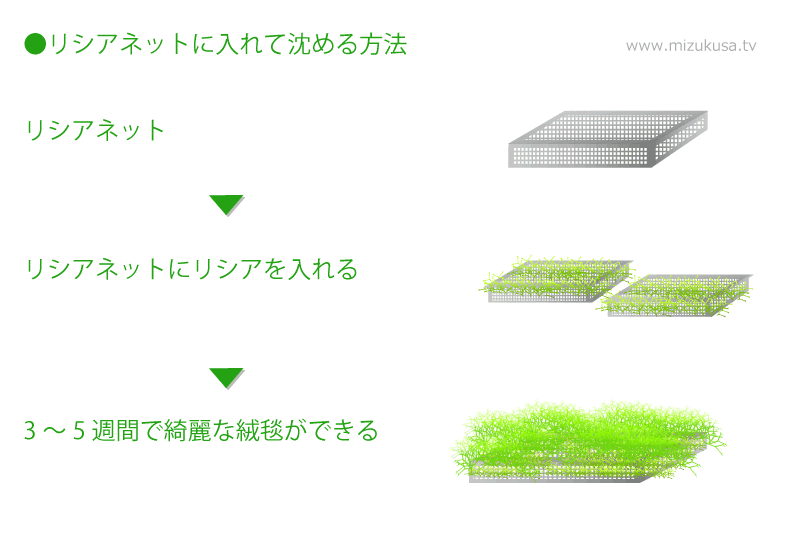 リシアネットに入れて沈める方法