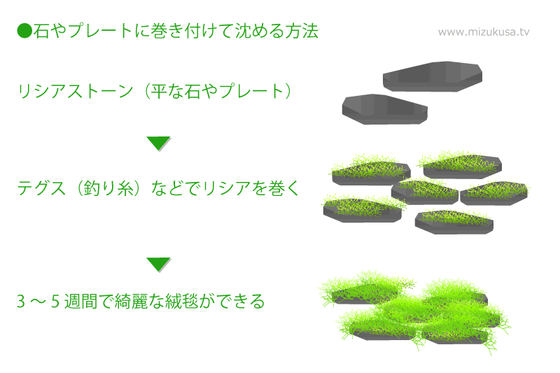 石やプレートに巻き付けて沈める方法