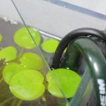 浮草で蓋の隙間を埋める対処