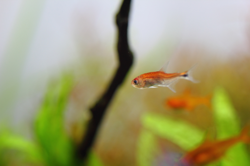 飼育から8年8か月