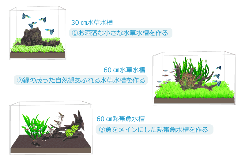 コンセプト水槽別レイアウト