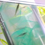 立ち上げから17日目生体投入