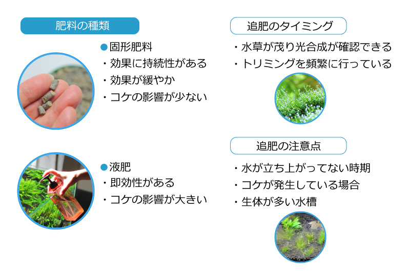 肥料の与え方