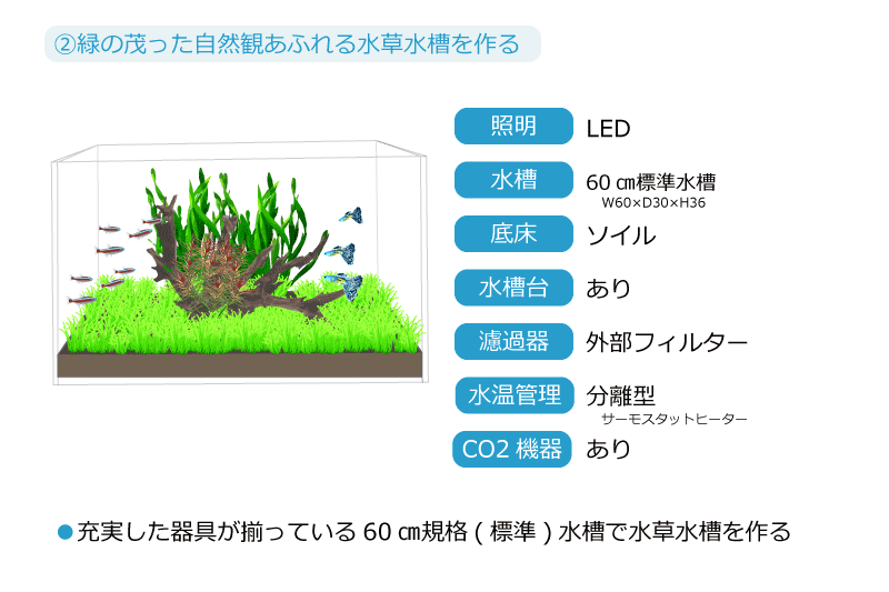 ②緑の茂った自然観あふれる水槽を作る