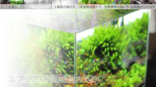 アクアリウムを始める前に