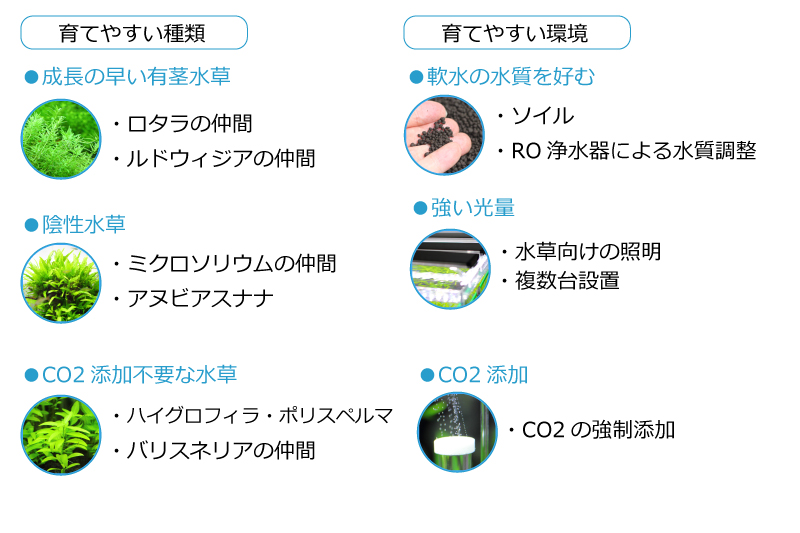 水草の育てやすさ