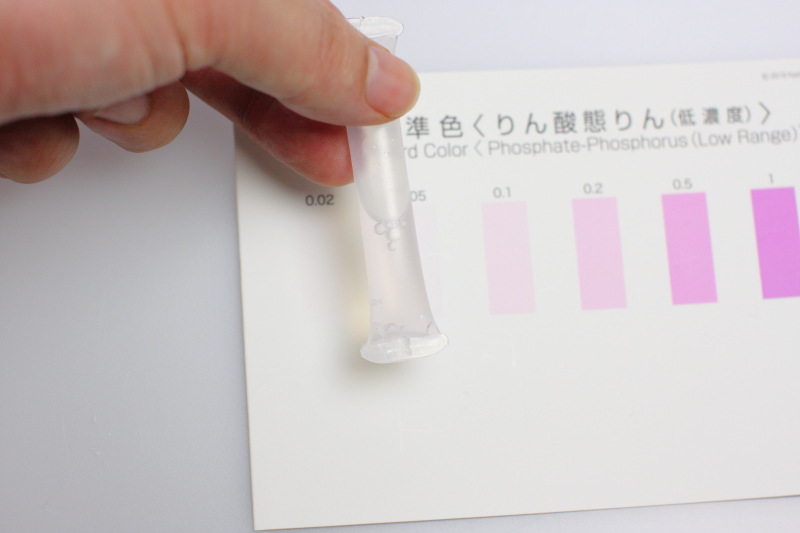 パックテストによるリン酸塩測定