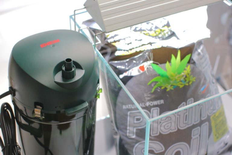 【初心者向け】30センチ水槽で作るお洒落な水草レイアウトの器具選び