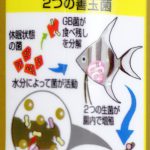 お腹と水中で働く２つの善玉菌