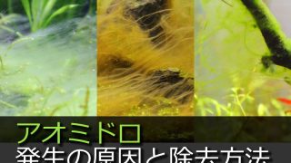 Thumbnail of post image 127