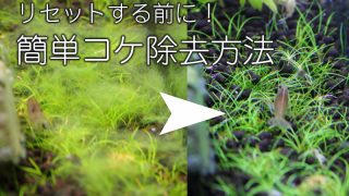 Thumbnail of post image 161