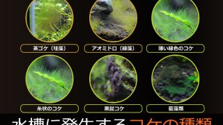 Thumbnail of post image 017