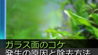 Thumbnail of post image 019