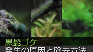Thumbnail of post image 093