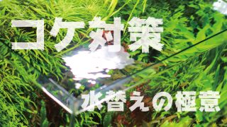 Thumbnail of post image 094