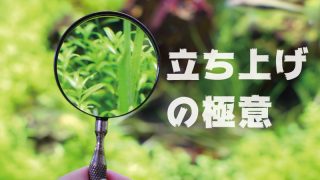 Thumbnail of post image 064