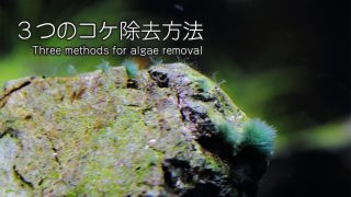 Thumbnail of post image 062