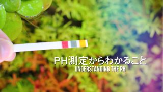 Thumbnail of post image 011