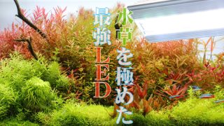Thumbnail of post image 080
