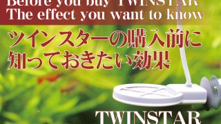 Thumbnail of post image 134