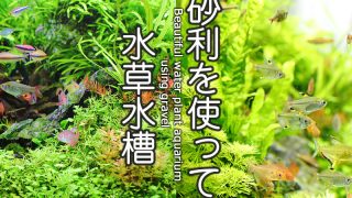 Thumbnail of post image 047