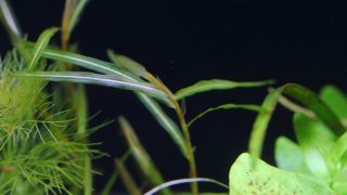 Thumbnail of post image 083