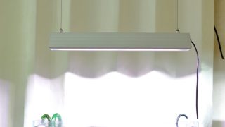Thumbnail of post image 101