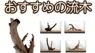 Thumbnail of post image 004