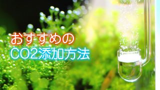 Thumbnail of post image 021