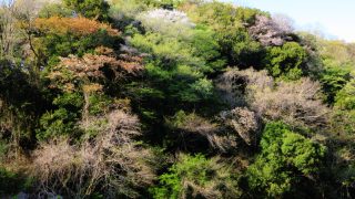 Thumbnail of post image 030