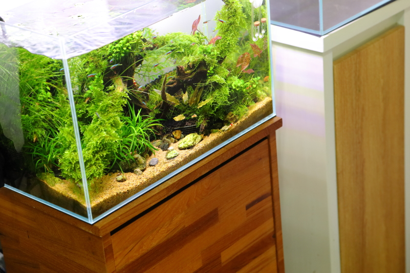 買って良かった水草水槽10器具 - 水草動画ブログ