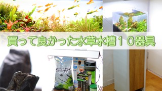Thumbnail of post image 167