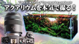 Thumbnail of post image 059