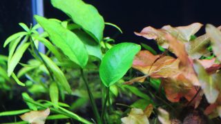Thumbnail of post image 003