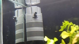 Thumbnail of post image 047