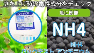 Thumbnail of post image 107