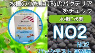 Thumbnail of post image 121