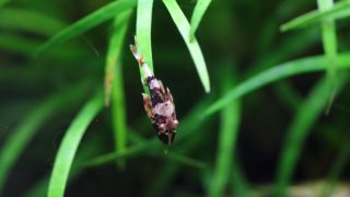 Thumbnail of post image 095