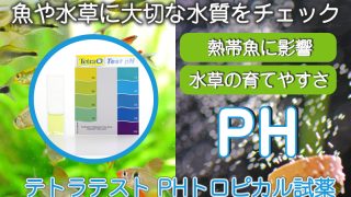 Thumbnail of post image 051
